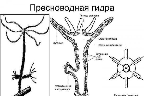 Блекспрут тор blacksprut