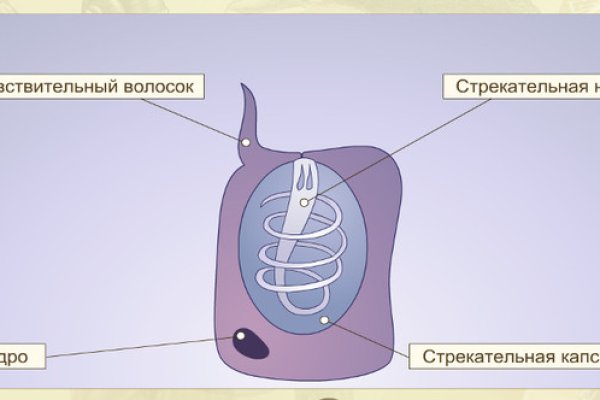 Блэк спрут сайт tor wiki online