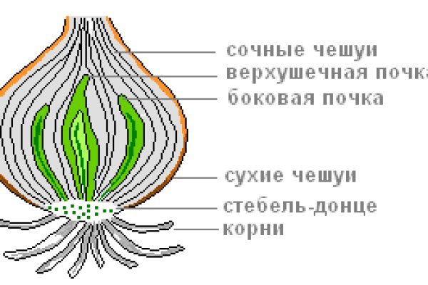 Блэк спрут или мега